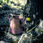 Fiona Whitaker - @fionamwhitaker - Instagram