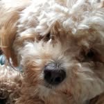 Fiona Wilkinson - @fiona.wilkinson.127 - Instagram
