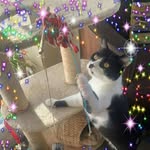Fiona Wilkinson - @fionawilkinson43 - Instagram