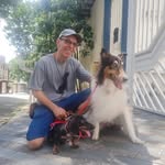 Alecio Neris - @alecionerisdogwalker - Instagram