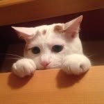 Iori Kimura - @kimuraiori - Instagram