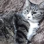 Iori Kimura - @iori4279 - Instagram