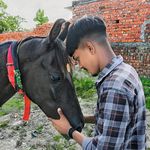 Iqbal Husain - @iqbal.hussain32 - Instagram