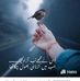 Mohd Iqbal Husain - Facebook