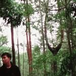 Iqbal Rahman - @iqbalrahman23 - Instagram