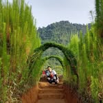 Iqbal Rahman - @ikbalrahman71 - Instagram
