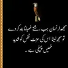 iqra Javed - @iqra.javed27 - TikTok