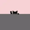 IqRa51 - @iqramunir.51 - TikTok