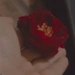 Iqra Munir - @iqramunir432 - Instagram