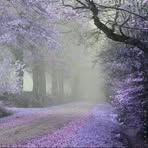 Iqra Munir - Facebook