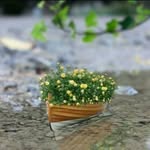 Iqra munir - @iqramunir22 - Instagram