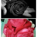 Iqra Munir - @iqramunir455 - Instagram