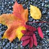user2907278933404 - @iqra.osman - TikTok