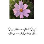 Iqra Sadiq - Facebook