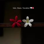 Iqra Sadiq - @_iqra_sadiq - Instagram