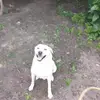 iracordeiro0 - @iracordeiro0 - TikTok