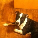 Ira Adkins - @stoned_969 - Instagram