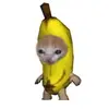 keira 🪩🧿 - @keira.barry - TikTok