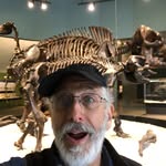 Ira Baumgarten - @baumgartenira - Instagram