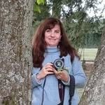 Ira Bendersky - @irabendersky - Instagram