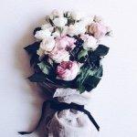 @mira__bird - Instagram