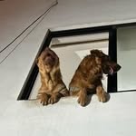 Ira Bloom - @bloomira - Instagram