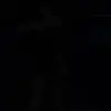 IracemaBrickmann - @iracema.brickmann3589 - TikTok