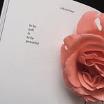@ira.brighton - Instagram