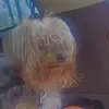 Ira Caldwell - @ira.caldwell - TikTok