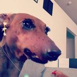 ᴍʏ ɴᴀᴍᴇ ɪs ɪʀᴇʟʏɴɴ - @ira__campbell - Instagram