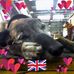 Ira Chapman - Facebook