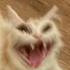 _ira_chmok_ - @_ira_chmok_ - TikTok