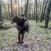 Ira Cook - @ira.cook5 - TikTok