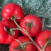 ira.cooks - @ira.cooks - TikTok