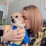 Irada Ibragimova - @irada_vet - Instagram
