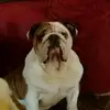 Ira Dean1 - @ira.dean1 - TikTok