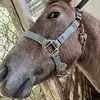 ira_diaz93 - @ira_diaz93 - TikTok