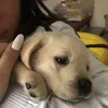Іра Рогина - @irarogin - TikTok