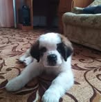 Іра Дручок - Facebook