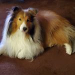 Ira Feingold - @iraf1150 - Instagram