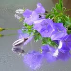 Ira George - Facebook