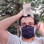 Ira Hoffman - @thellamacat - Instagram
