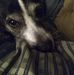 Ira Hudson - Facebook