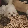 ira Katzker - @ira.katzker - TikTok