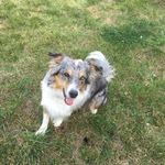 Ira Flocke - @iraflocke - Instagram