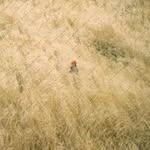 Nadia Messer - @iralott258 - Instagram