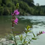 Ira Manning - @weightlessfootprint - Instagram
