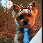 @irani_3259__merrill - Instagram