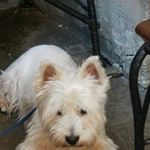 Ирина - @merrilloand_ira - Instagram
