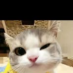 Ira Marsyah - Facebook